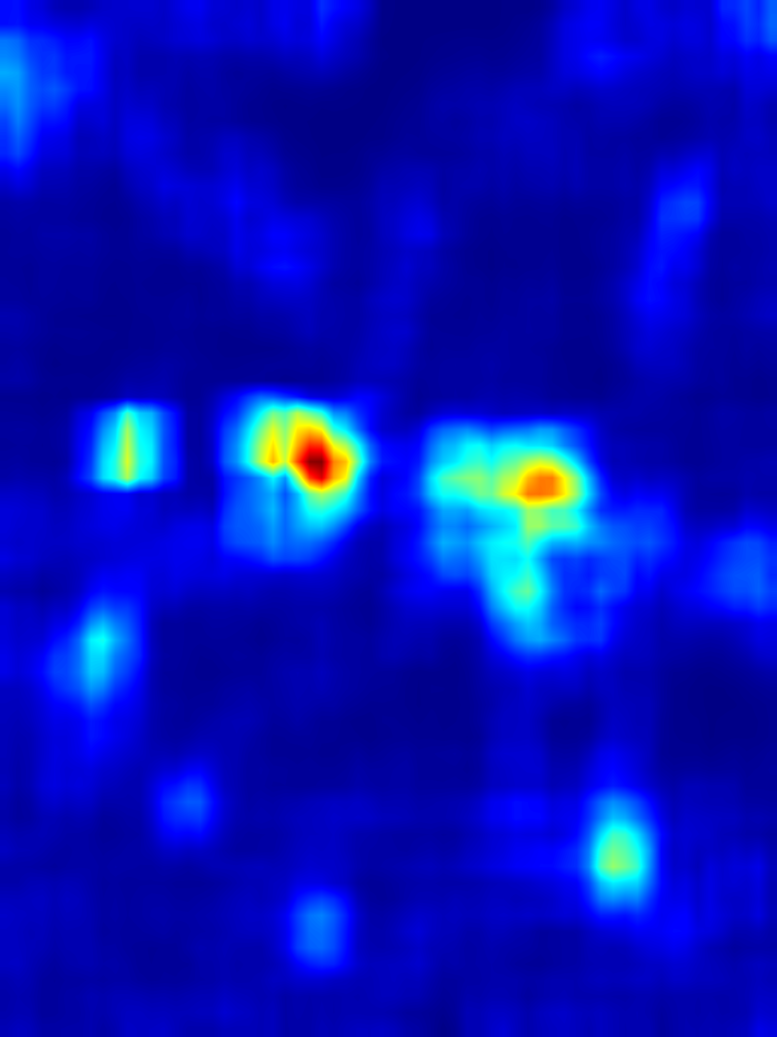 [SAL(Saliency)]
